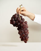 Sentir la lana: Cata de lanas