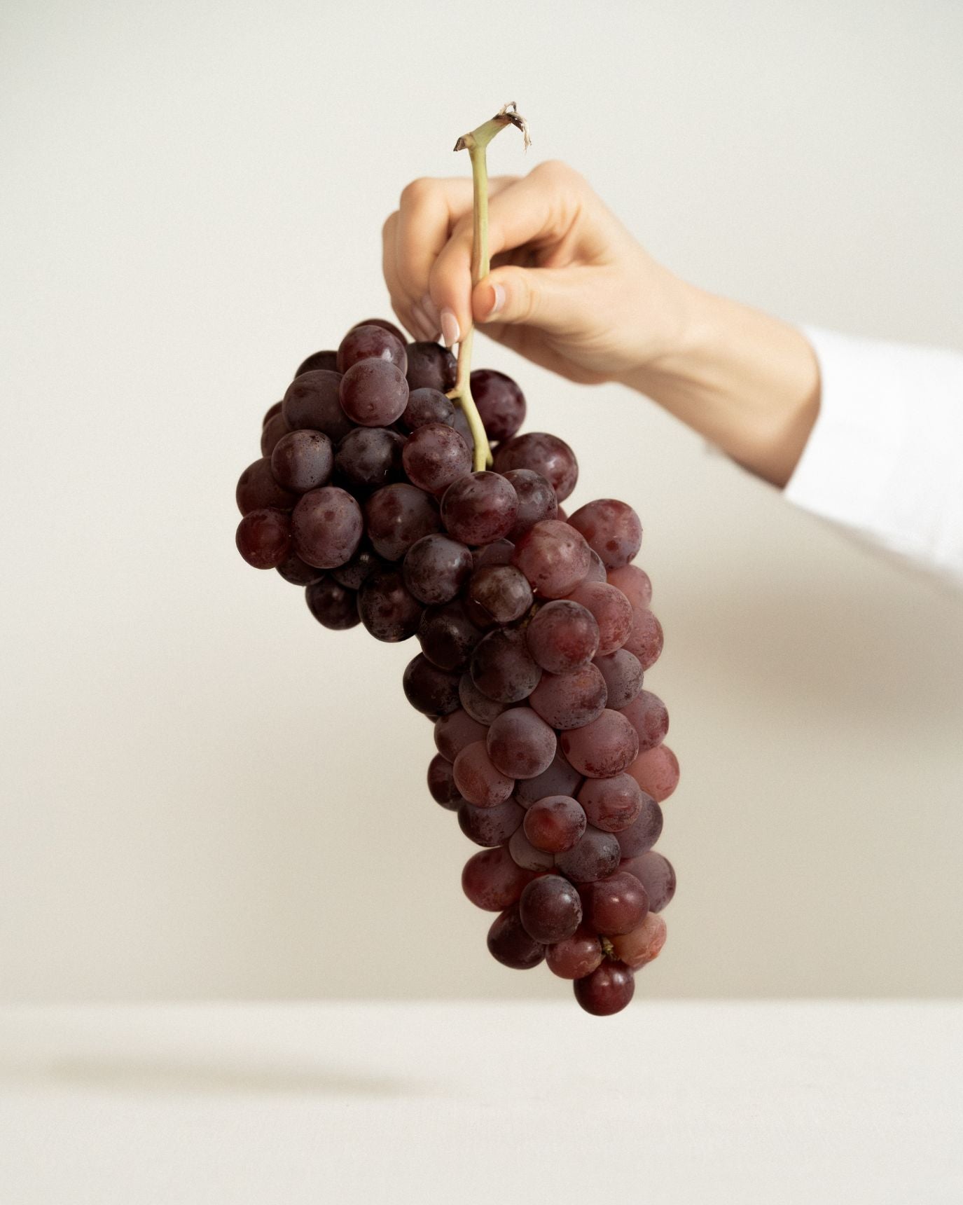 Sentir la lana: Cata de lanas